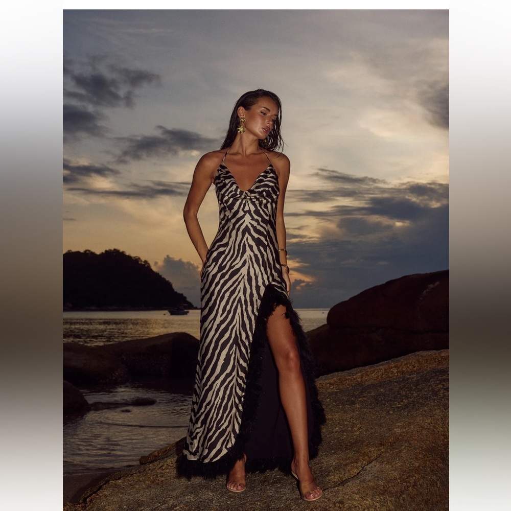 Runaway The Label Vanya maxi dress Zebra Print feather lining size XS worn once